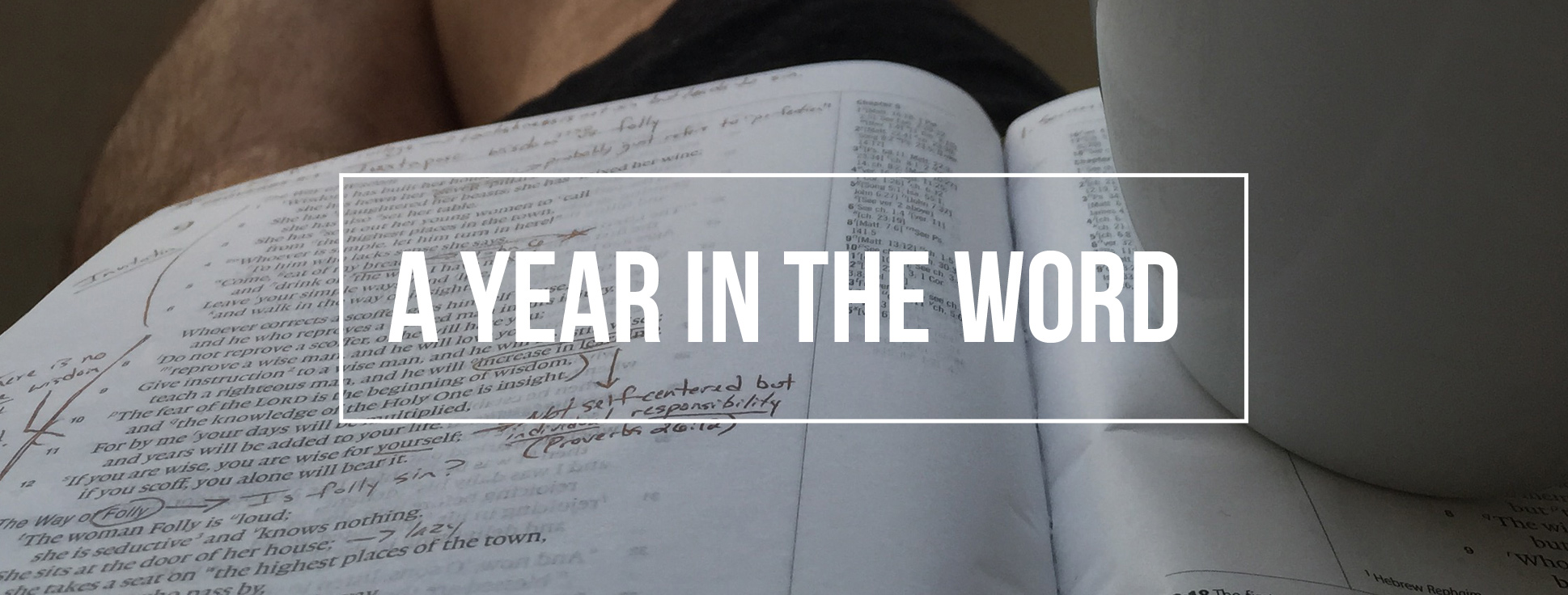 A Year in the Word